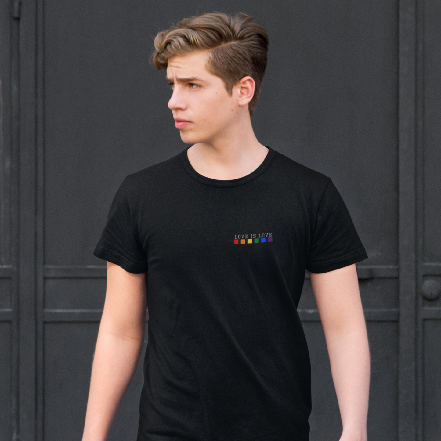 Love | Respect | Freedom | Tolerance | Equality | Pride Black T-Shirt